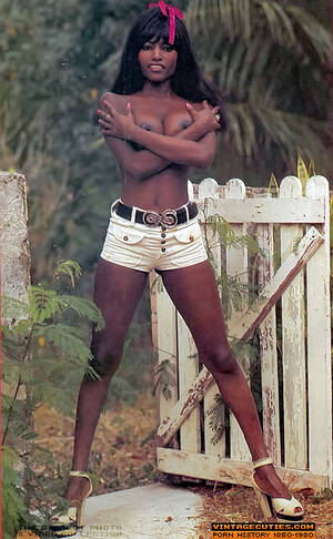 1970s black hairy pussy porn - 1970s Black Hairy Pussy Porn | Sex Pictures Pass