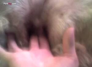 Fingering Cat Porn - Fingering Cat Porn | Sex Pictures Pass