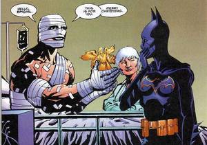 Batman Lady Shiva Porn - Sunday, August 29, 2010