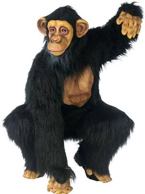 Bear Costume Porn - Image result for adult teddy bear costume porn | Animal suit 28 | Pinterest  | Bear costume