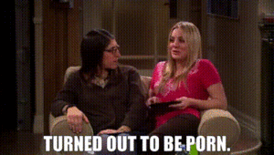 Big Bang Theory Porn Meme - YARN | Turned out to be porn. | The Big Bang Theory (2007) - S04E16 The  Cohabitation Formulation | Video clips by quotes | 153e8747 | ç´—