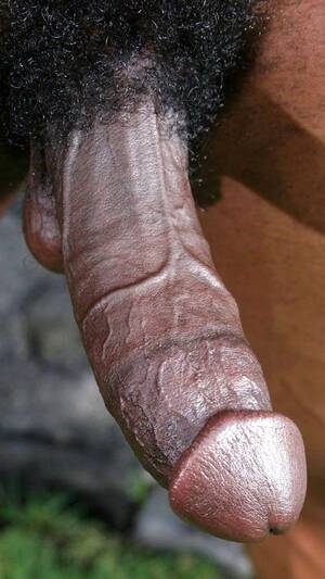 Big Black Cock Close Up Porn - Black cock close up - 70 photo