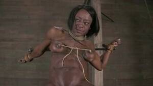 hood ashley starr - Ashley Starr Movies