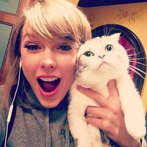 Meredith Grey Pussy - I've heard some people want to see Taylor Swifts pussy, so... - credit to:  swipurr.com