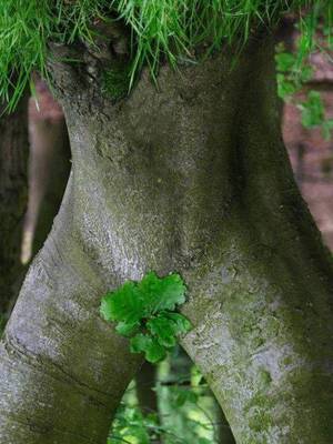 Mother Nature Porn - 