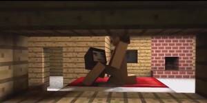 Minecraft Steve Girl Porn Cum - Steve Has Sex With His Minecraft Gf - Tnaflix.com