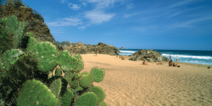 free sex nude beach in greece - This Nude Beach Is Mexico's Best-Kept Queer Secret