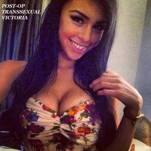 miami ts escort - PCTV cards and Dead Or Alive Paradise Naked the solely 100twenty five