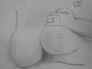 My Favorite Porn Drawings - Day 4 in my attempt to learn how to draw using Porn : r/learntodraw