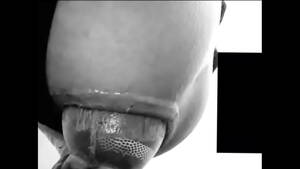 Anal Birth - Anal birthing - XVIDEOS.COM