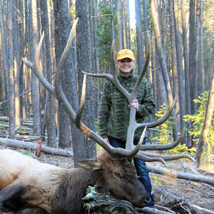 Elk Hunting Porn - Trish Williams' elk