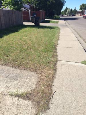 Lawn Care Porn - Edging porn NSFW