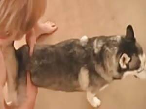 Man Fucks Female Husky - Man Fucks Female Husky | Sex Pictures Pass