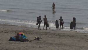 everyone at the beach fucking - More police patrols needed at Wreck Beach says Metro Vancouver | Watch News  Videos Online