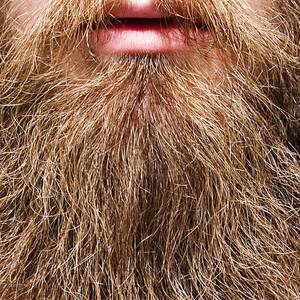 Miley Cyrus Hairy Pussy - Could hipster bushes be the new beards? It's time for pubic hair to be cool  again | Sunil Badami | The Guardian