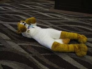 Furry Convention Extreme Adult Porn - Mark Hill