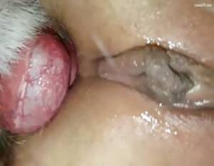 anal knot - Big knot anal - Extreme Porn Video - LuxureTV