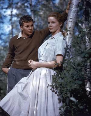 Drunk Japanese Porn Husband - A Book to Take to Bed - WSJ