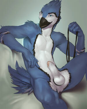 Male Bird Furry Porn - Rule 34 - 2014 anthro avian balls beak bird blue eyes blue feathers cock  ring collar darkgem erection feathers furry furry only humanoid penis leash  looking at viewer male male only nude