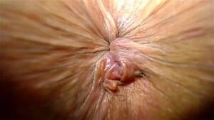 fat open asshole - Watch fat bitch spread very close - Closeup, Anus Wink, Ass Spreading Porn  - SpankBang