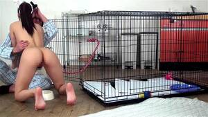 Japanese Pet Girl Porn - Watch hasumi puppy - Enf, Puppy, Japanese Porn - SpankBang