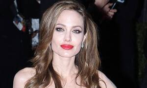 Celebrity Porn Angelina Jolie - Angelina Jolie illustrates the virtues of celebrity power | Media | The  Guardian