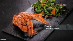 Black Food Porn - Closeup Of Boiled Crawfish And Lettuce With Orange And Herbs On A Cutting  Board Black Stone On A Dark Background Delicious Food Food Porn Tasty  Concept Stock Photo - Download Image Now -