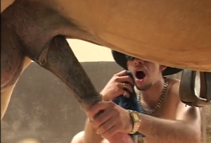 giant penis porn - Farmer has first contact with horse's giant penis - Zoo Xvideos