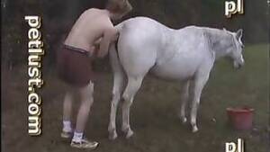 Mare Bestiality Porn - mare porn Animal Porn