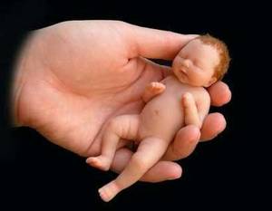 Babies In Porn - I am not dealing in child porn here, just amazing candy! Blogger hasn't let  me publish all the babies so I went through and pulled all of the little  private ...