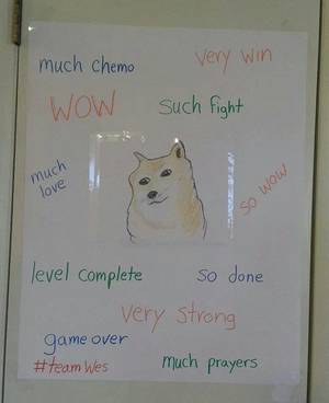 Doge Meme Porn - My wife and kids made this home made Doge meme when I was fighting cancer.