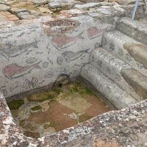 Bible Quotation - Trending Now