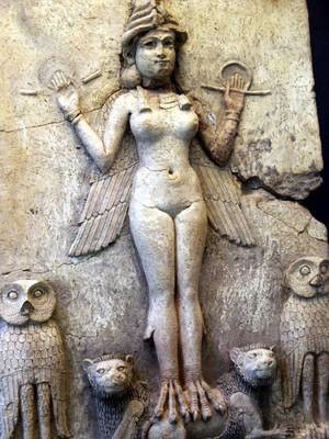 ancient sex - Look at this, it's a naked chick having raw animal sex!! Nope, just  kidding, it's the Queen of the Night which is almost the same thing.