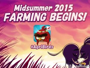 Angry Birds Porn - Agri Birds New Angry Birds Game Coming Summer 2015 - App Icon