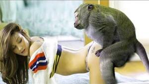 Girls Having Sex With Monkeys - Girls Having Sex With Monkeys | Sex Pictures Pass