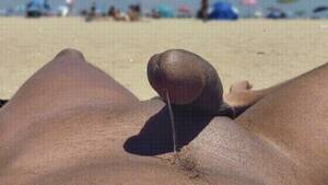 black porn beach - Juicy Black Cock Oozing Precum On A Public Beach 0119-1 3 Pov Porn Gif |  Pornhub.com