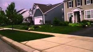 Lawn Care Porn - Lawn Porn - Kentucky Bluegrass Elite Cultivars - June 12, 2013