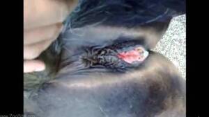 Mare Pussy Gets Fucked - Compilation of mare pussy fucking with creampies