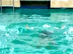 Japanese Mermaid Porn - Mermaid Japan 01