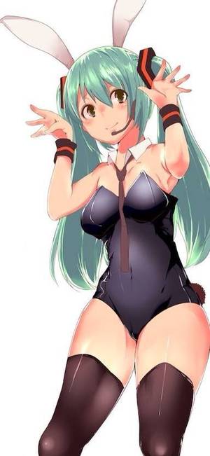 Anime Bunny Outfit Porn - Hatsune miku