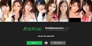 japanese busted - Tokyo cops nab American in uncensored porn bust