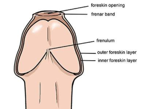 cock sucking rules - X-Rayed Sex: â€œ4 Blowjob Tricks, 5 Rules of BJ Etiquetteâ€ â€“ Thotyssey