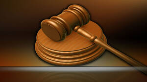 Gavel Furry Porn - 34-year-old admits to making child porn