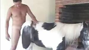 Man Fucks Mare - Man fuck mare Animal Porn