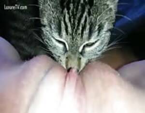 Girl Cat - Cat licks pussy - Extreme Porn Video - LuxureTV