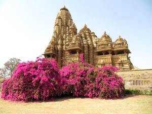 Ancient God Porn Comets - And let me introduce you to Shiva.