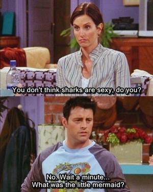Funny Shark Porn - When Monica thought Chandler liked shark porn. | Friend jokes and Friends tv