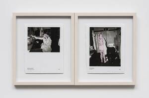 Betty White Porn Captions - Artist Betty Tompkins Overlays Women's Bodies With #MeToo Testimonies