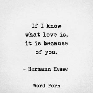 Because I Love - If I know what love is, it is because of you. -Hermann Hesse