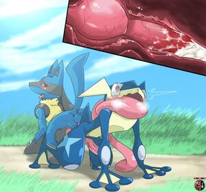 Lucario Pokemon X And Y Porn - Lucario x Greninja [M][M] : r/FeralPokePorn